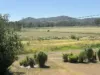 9951 Burnett Highway, Booubyjan, Qld 4601-Image