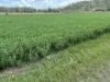 9951 Burnett Highway, Booubyjan, Qld 4601-Image