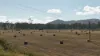 9951 Burnett Highway, Booubyjan, Qld 4601-Image