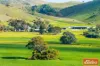 997 Three Chain Road, Cambrai, SA 5353-Image