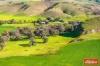 997 Three Chain Road, Cambrai, SA 5353-Image