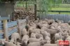 997 Three Chain Road, Cambrai, SA 5353-Image