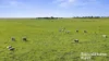 A3 - A9 Kindaruar Road, Milang, SA 5256-Image