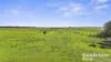A3 - A9 Kindaruar Road, Milang, SA 5256-Image