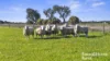 A3 - A9 Kindaruar Road, Milang, SA 5256-Image