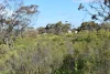 A67 Halfway House Road, Sedan, SA 5353