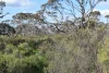 A67 Halfway House Road, Sedan, SA 5353-Image