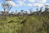 A67 Halfway House Road, Sedan, SA 5353-Image