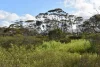 A67 Halfway House Road, Sedan, SA 5353-Image
