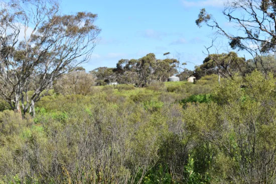 A68 Halfway House Road, Sedan, SA 5353