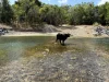 Address available on request, Bloomsbury, Qld 4799-Image