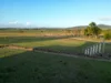 Address available on request, Bloomsbury, Qld 4799-Image