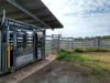 Address available on request, Bloomsbury, Qld 4799-Image