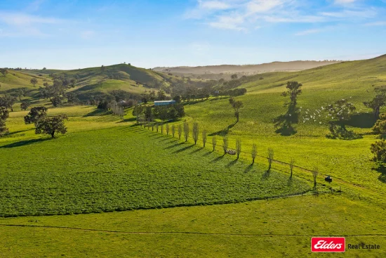 Address available on request, Boorowa, NSW 2586 - For Sale