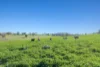 Address available on request, Boorowa, NSW 2586-Image