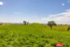 Address available on request, Boorowa, NSW 2586-Image