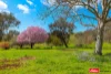 Address available on request, Boorowa, NSW 2586-Image