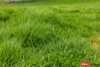 Address available on request, Boorowa, NSW 2586-Image