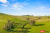 Address available on request, Boorowa, NSW 2586-Image