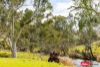 Address available on request, Boorowa, NSW 2586-Image