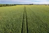 Address available on request, Cootamundra, NSW 2590-Image