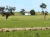 Address available on request, Cootamundra, NSW 2590-Image