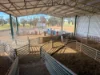 Address available on request, Cootamundra, NSW 2590-Image