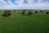 Address available on request, Cootamundra, NSW 2590-Image