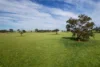 Address available on request, Cootamundra, NSW 2590-Image