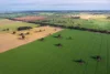 Address available on request, Cootamundra, NSW 2590-Image