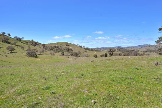 Address available on request, Gulgong, NSW 2852 - For Sale