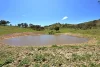 Address available on request, Gulgong, NSW 2852-Image