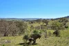 Address available on request, Gulgong, NSW 2852-Image