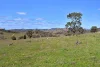 Address available on request, Gulgong, NSW 2852-Image
