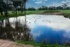 Address available on request, Mangalore, Vic 3663-Image