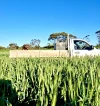 Address available on request, Minnipa, SA 5654