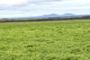 Address available on request, Minnipa, SA 5654-Image