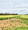 Address available on request, Minnipa, SA 5654-Image
