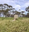 Address available on request, Minnipa, SA 5654-Image