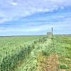 Address available on request, Minnipa, SA 5654-Image