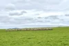 Address available on request, Minnipa, SA 5654-Image