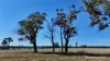 Allotment 39 Paynes Lane, Digby, Vic 3309-Image