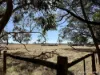 Allotment 39 Paynes Lane, Digby, Vic 3309-Image