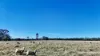 Allotment 39 Paynes Lane, Digby, Vic 3309-Image