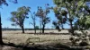 Allotment 39 Paynes Lane, Digby, Vic 3309-Image