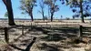 Allotment 39 Paynes Lane, Digby, Vic 3309-Image
