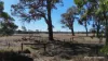 Allotment 39 Paynes Lane, Digby, Vic 3309-Image