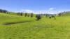 Allotment 702 Wattle Flat Road, Ashbourne, SA 5157