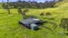 Allotment 702 Wattle Flat Road, Ashbourne, SA 5157-Image