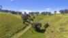 Allotment 702 Wattle Flat Road, Ashbourne, SA 5157-Image